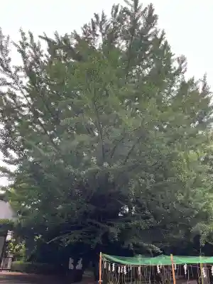 小平神明宮(東京都)