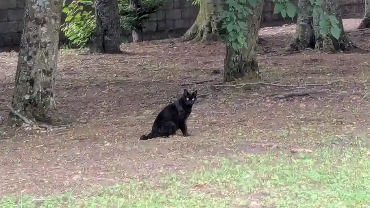 鹿追神社の動物