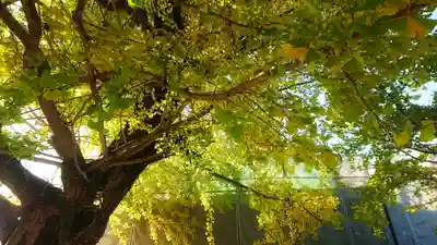 祐専寺の本殿・本堂