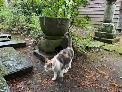 かっぱの寺 栖足寺(静岡県)