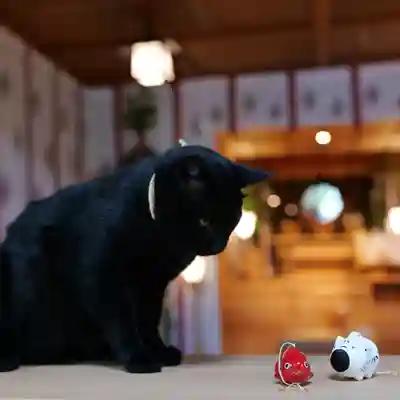 高司神社〜むすびの神の鎮まる社〜(福島県)