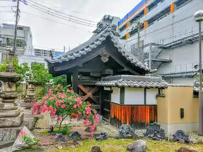 法蔵寺の山門・神門