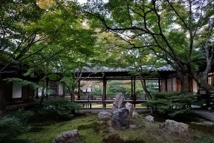 建仁寺(建仁禅寺)(京都府)