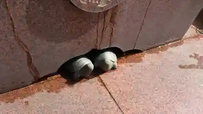 間々観音（龍音寺）のその他建物