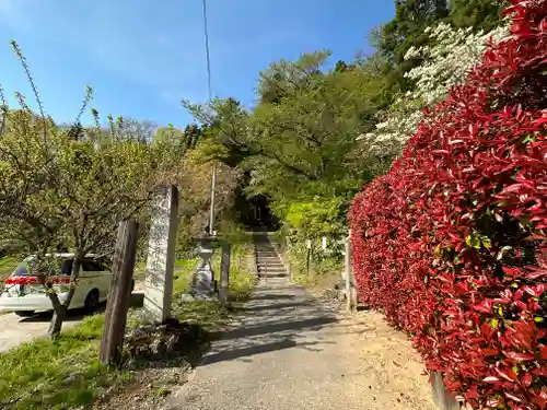 遍照寺の建物その他