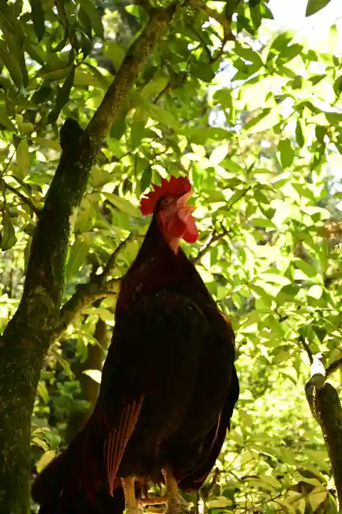 石上神宮(奈良県)