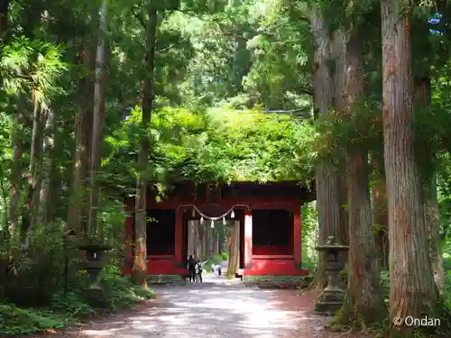 戸隠神社奥社(長野県)