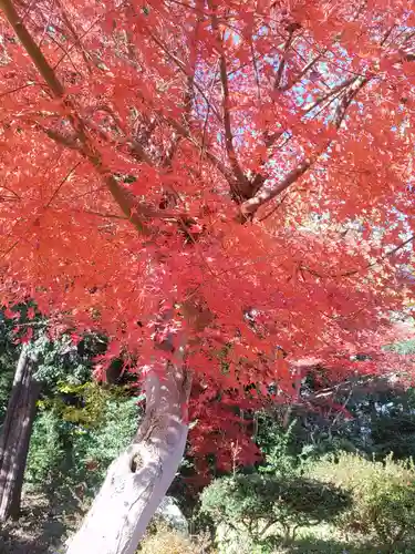 豊景神社(福島県)