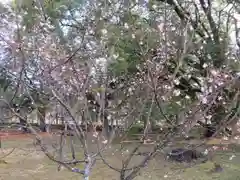 白雲神社の自然