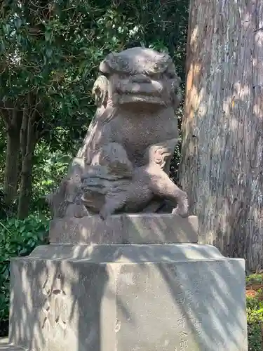 新橋浅間神社の狛犬