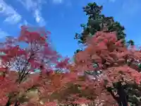 普門寺(切り絵御朱印発祥の寺)の自然