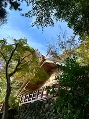 高鴨神社(奈良県)