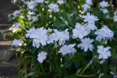 杉山谷不動尊(京都府)