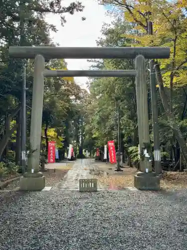 諏訪八幡神社の{uncategorized: "未分類", other: "その他", undefined: "問題あり", building: "その他建物", grave: "お墓", sacred_gate: "鳥居", guardian: "狛犬", statue: "像", buddha: "仏像", history: "歴史", nature: "自然", garden: "庭園", animal: "動物", pagoda: "塔", temizu: "手水舎", mountain_gate: "山門・神門", sanctuary: "本殿・本堂", subordinate: "末社・摂社", art: "芸術", scenery: "景色", jizo: "地蔵", ema: "絵馬", goshuin: "御朱印", omikuji: "おみくじ", items: "授与品その他", amulet: "お守り", goshuincho: "御朱印帳", eats: "食事", festival: "お祭り", votive_dance: "神楽", shichigosan: "七五三参", wedding: "結婚式", experience: "体験その他", initially: "初詣", around: "周辺", anti_infection: "感染症対策"}
