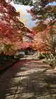龍福寺(山口県)