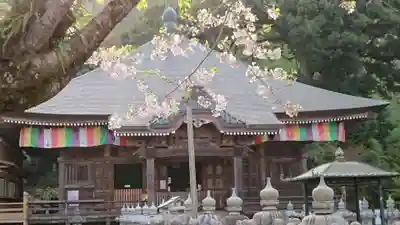長谷寺の本殿・本堂