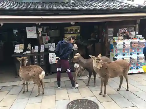 東大寺(奈良県)