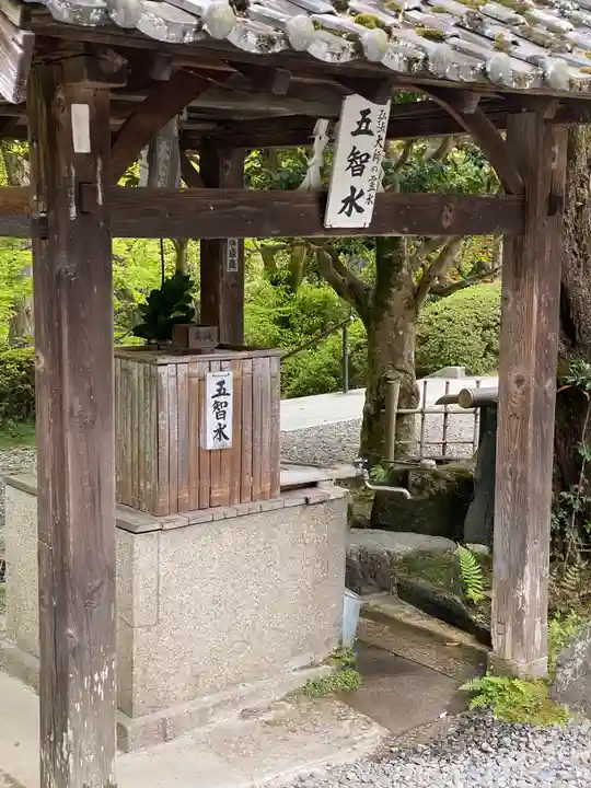 今熊野観音寺(京都府)