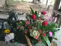 琴似神社の手水舎