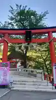 金櫻神社(山梨県)