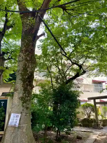 目黒富士浅間神社(東京都)