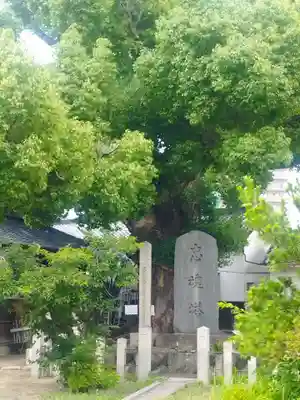 大念佛寺(大阪府)