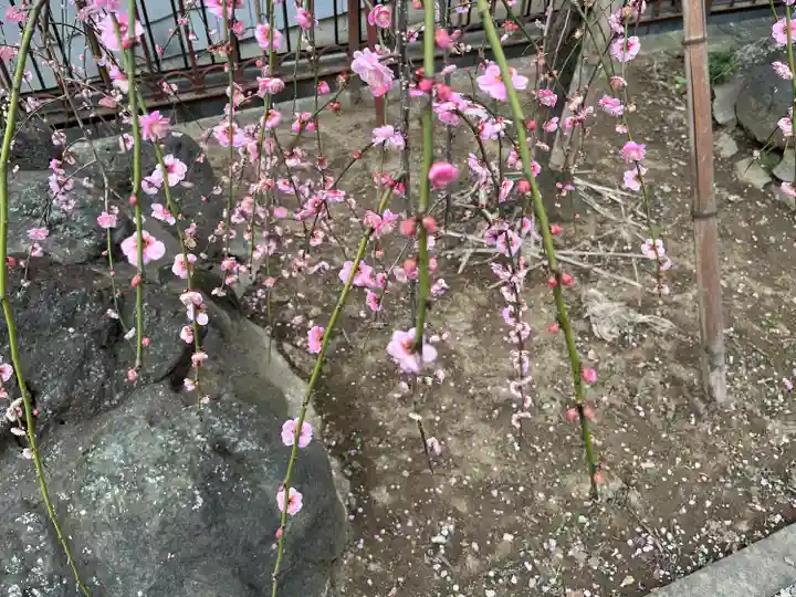 武蔵第六天神社(埼玉県)