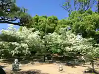 岡湊神社の御朱印
