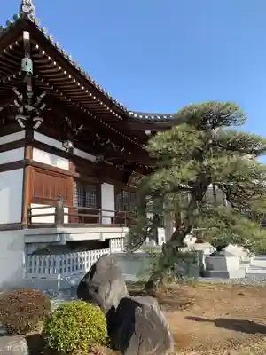 常光寺の本殿・本堂