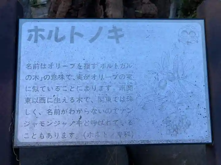 諏訪大神社(神奈川県)