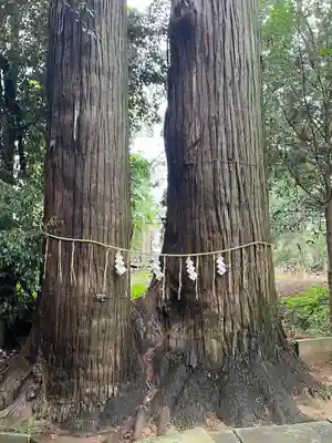 日吉神社(千葉県)