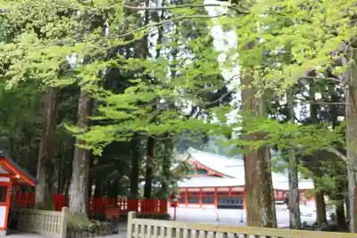 霧島神宮(鹿児島県)
