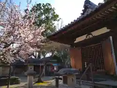 新薬師寺(奈良県)