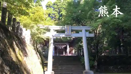 国造神社の鳥居