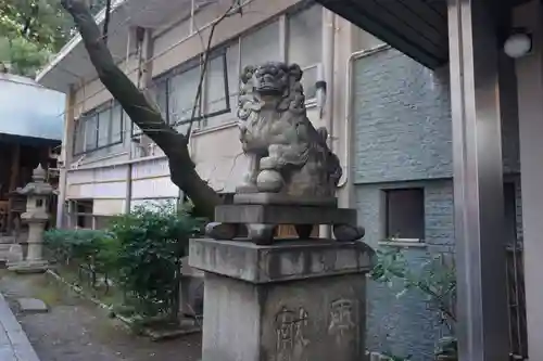 冨士神社の狛犬