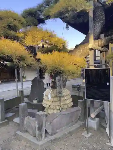 題経寺（柴又帝釈天）(東京都)