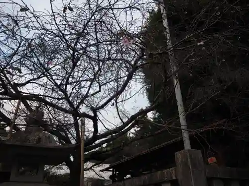 新町御嶽神社(東京都)