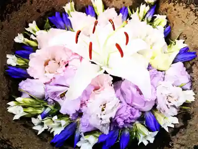 真言宗　善通寺派　薬王寺(香川県)