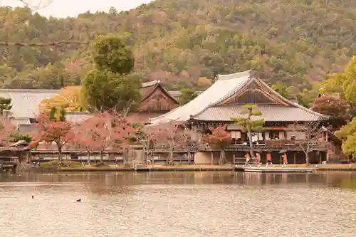 大覚寺(京都府)