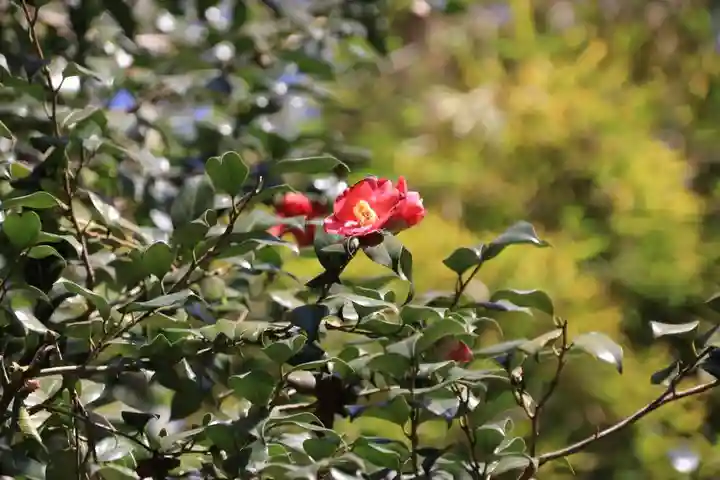 田村神社の庭園