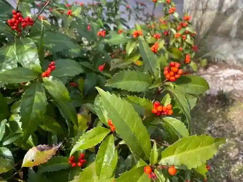 嘉祥寺のその他建物