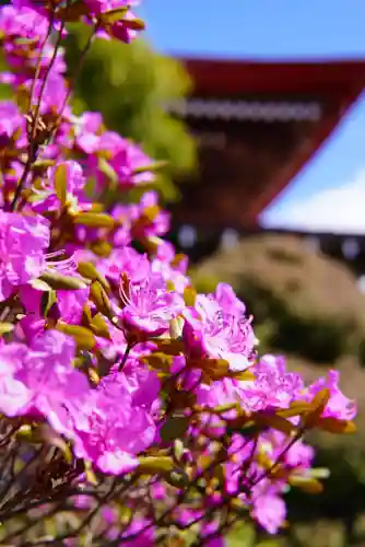 伊達神社の自然