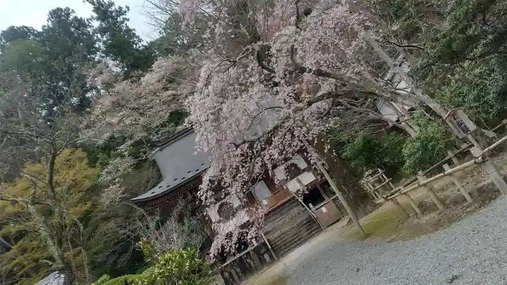 室生寺のその他建物