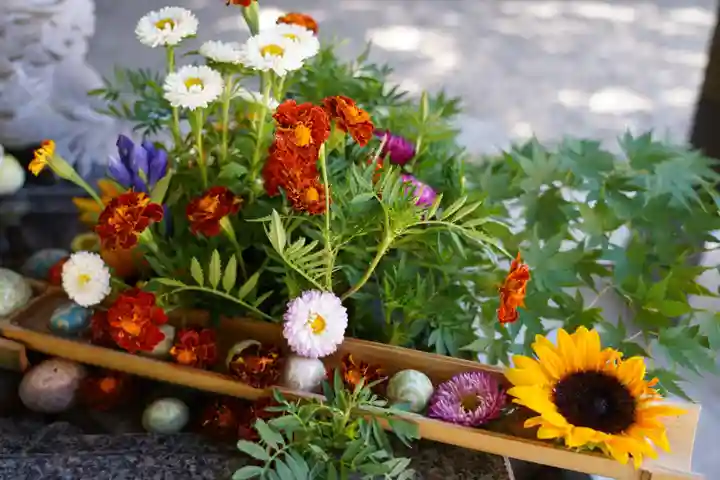滑川神社 - 仕事と子どもの守り神の手水舎