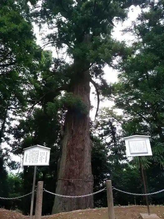 宮崎神社の建物その他