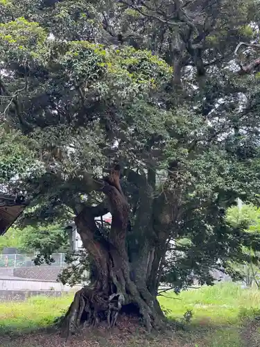 朝倉彦命神社(島根県)