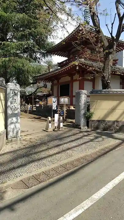 新井薬師(梅照院)(東京都)