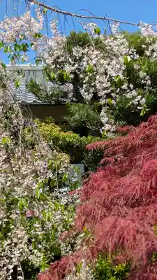 得浄明院(善光寺別院)(京都府)