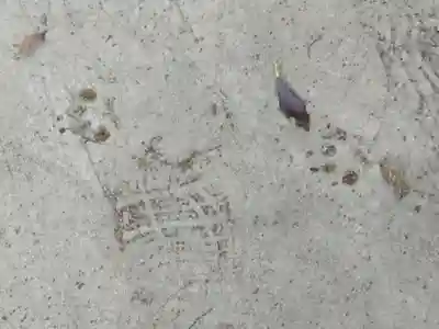 柏諏訪神社のその他建物