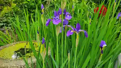 浄明院(愛媛県)